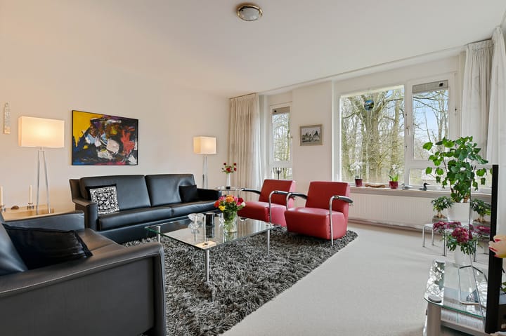 Foto 9 van Anna Paulownalaan 107