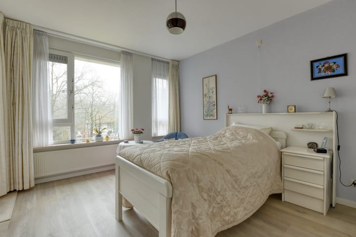 Foto 33 van Anna Paulownalaan 107