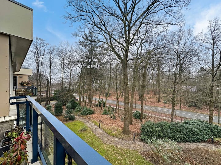 Foto 15 van Anna Paulownalaan 107