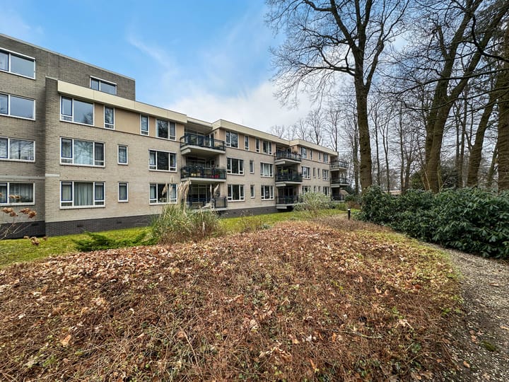 Foto 45 van Anna Paulownalaan 107