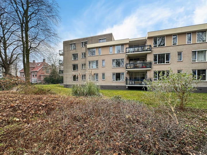 Foto 46 van Anna Paulownalaan 107