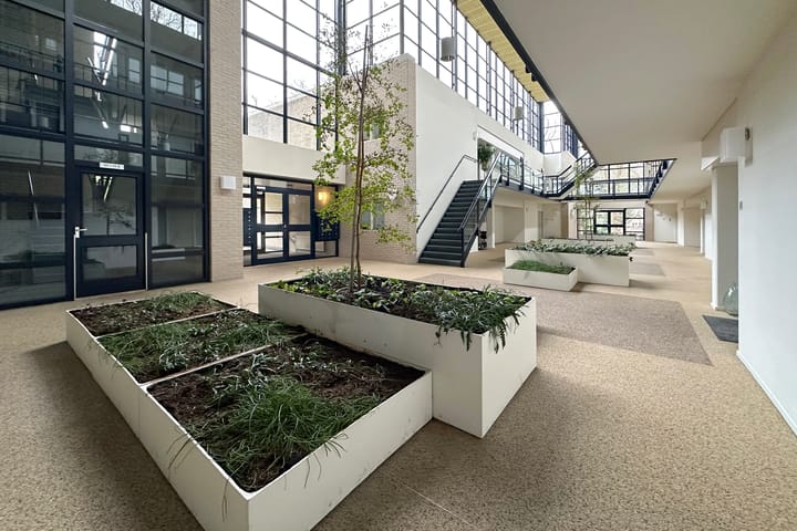 Foto 41 van Anna Paulownalaan 107