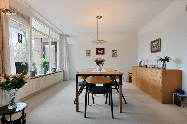 Foto 11 van Anna Paulownalaan 107