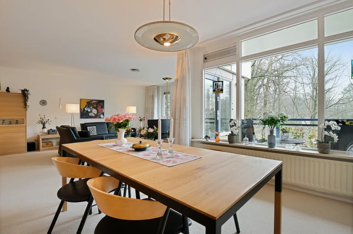 Foto 13 van Anna Paulownalaan 107