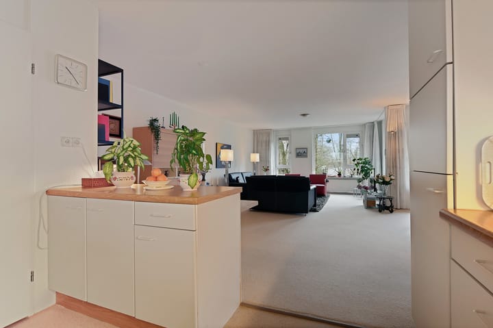 Foto 24 van Anna Paulownalaan 107