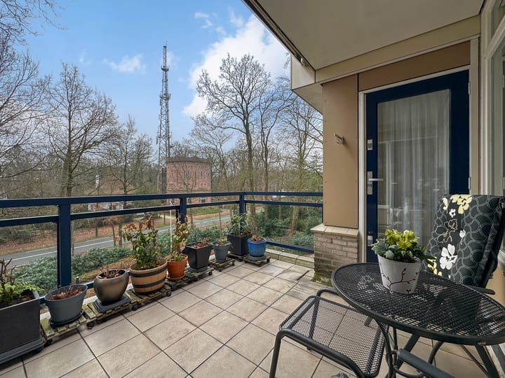 Foto 17 van Anna Paulownalaan 107