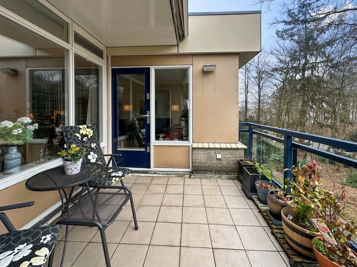 Foto 19 van Anna Paulownalaan 107