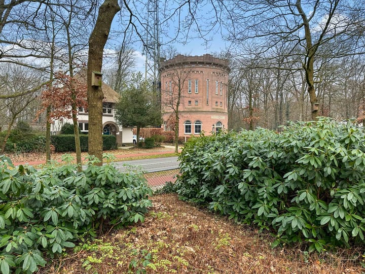 Foto 51 van Anna Paulownalaan 107