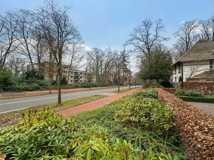 Foto 52 van Anna Paulownalaan 107