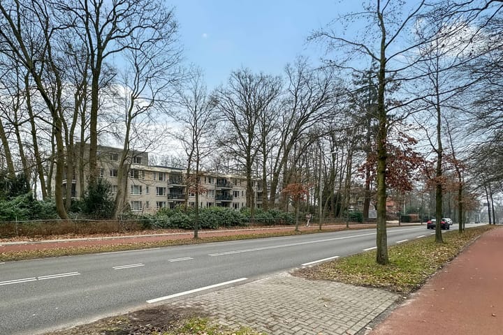 Foto 53 van Anna Paulownalaan 107