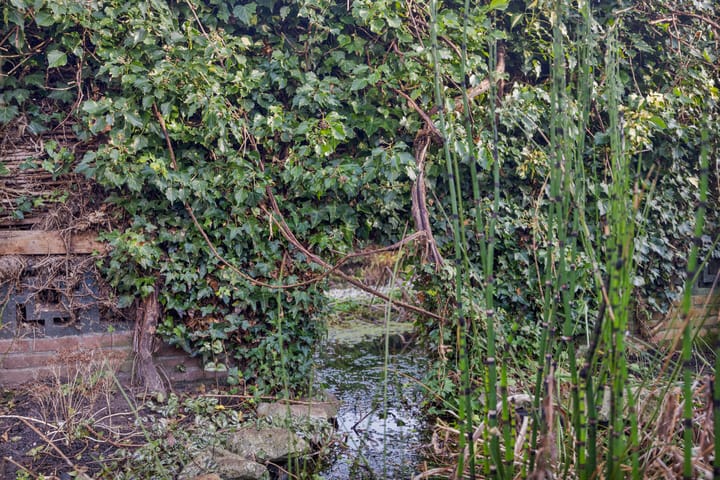 Photo 22 of Herenstraat 126