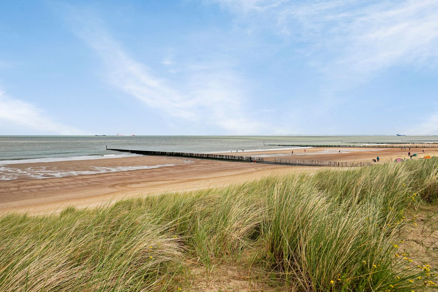 Photo 25 of Boulevard de Wielingen 47-C101