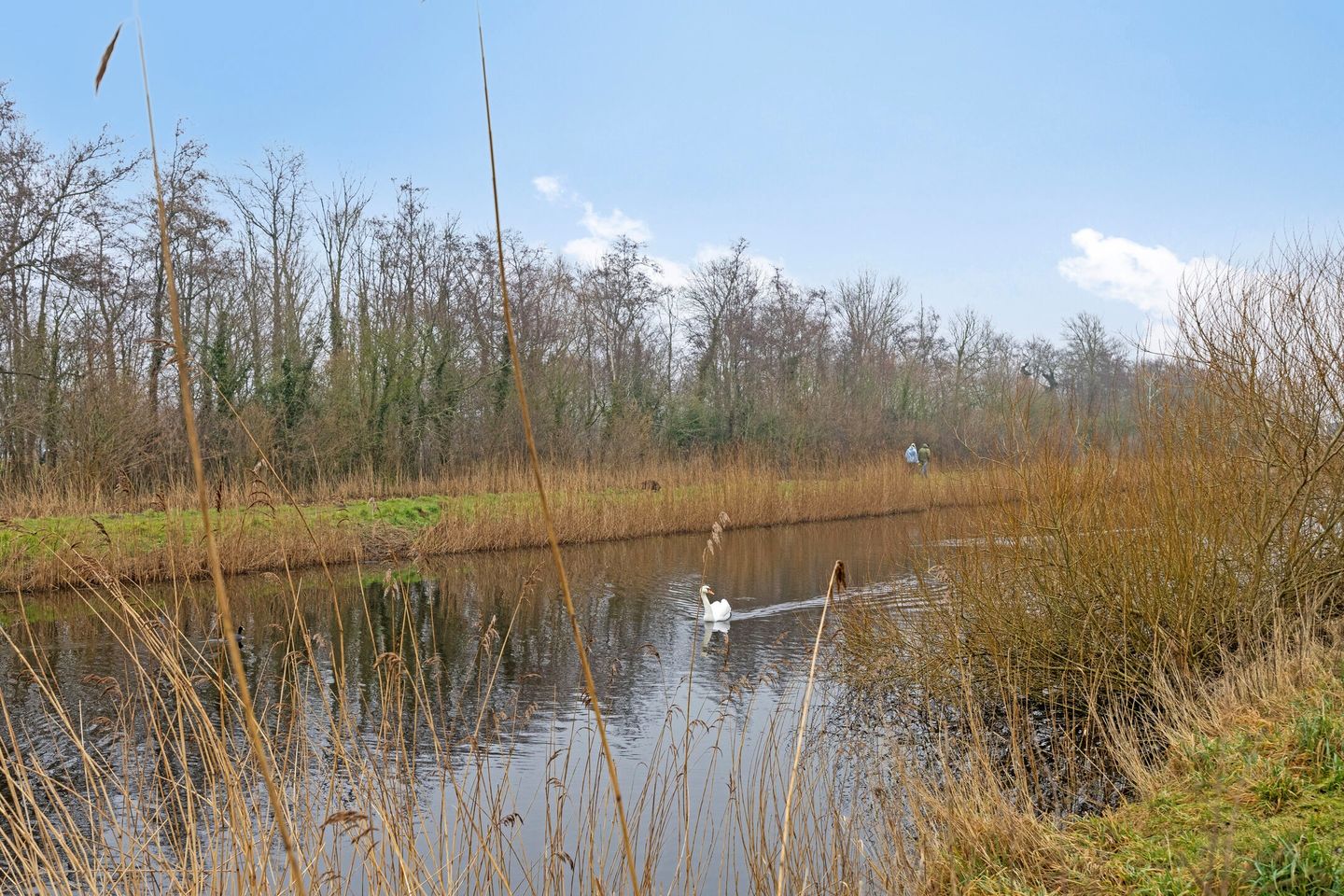 Foto 44 van Galjoenstraat 99