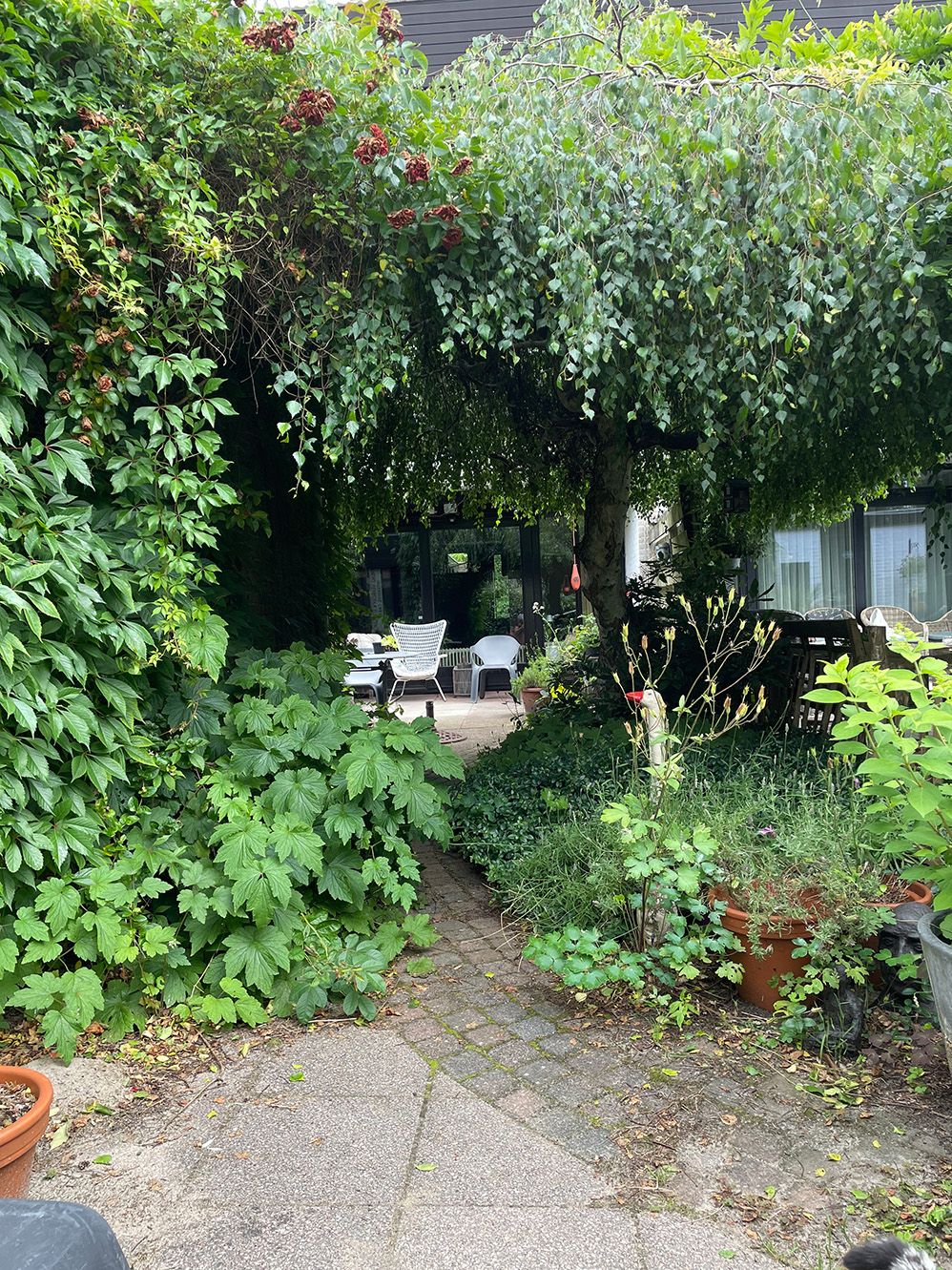 Foto 13 van Balearen 26