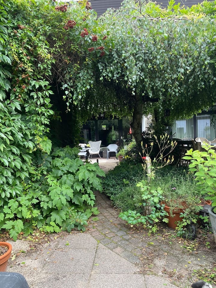 Foto 13 van Balearen 26