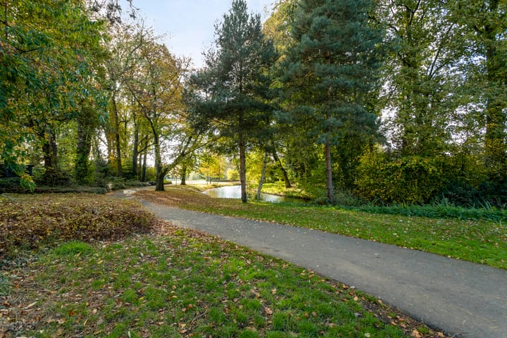 Foto 35 van Leonard Springerlaan 30