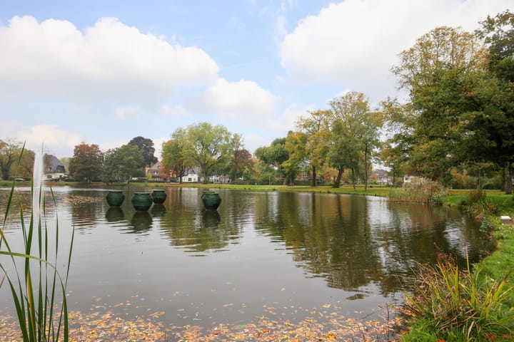 Foto 36 van Leonard Springerlaan 30