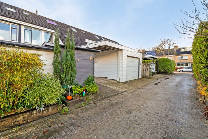 Foto 27 van de Hoppen 58