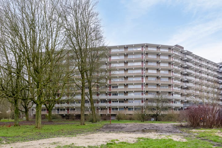 Foto 6 van Jonkerbos 110