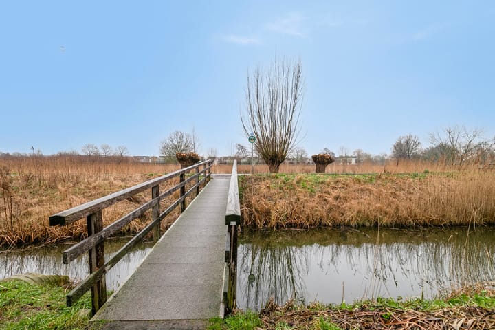 Photo 29 of Anemoonstraat 24