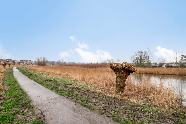 Photo 30 of Anemoonstraat 24