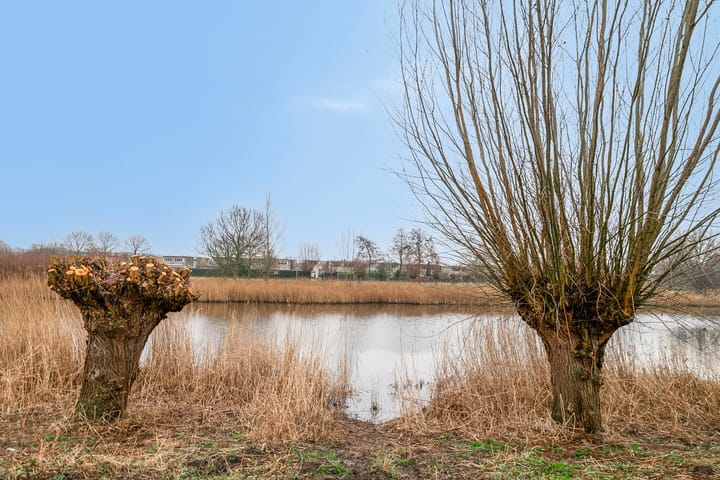 Photo 31 of Anemoonstraat 24