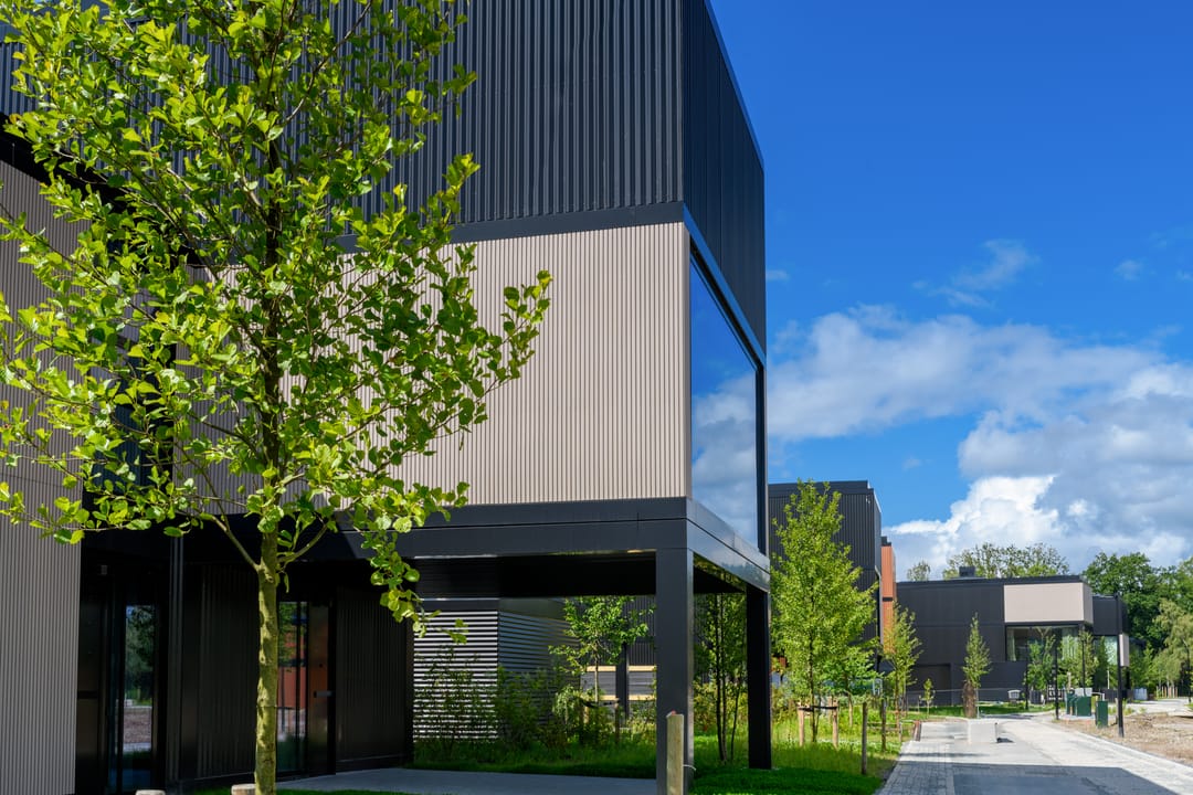 Foto 7 van Heksenkruid 11