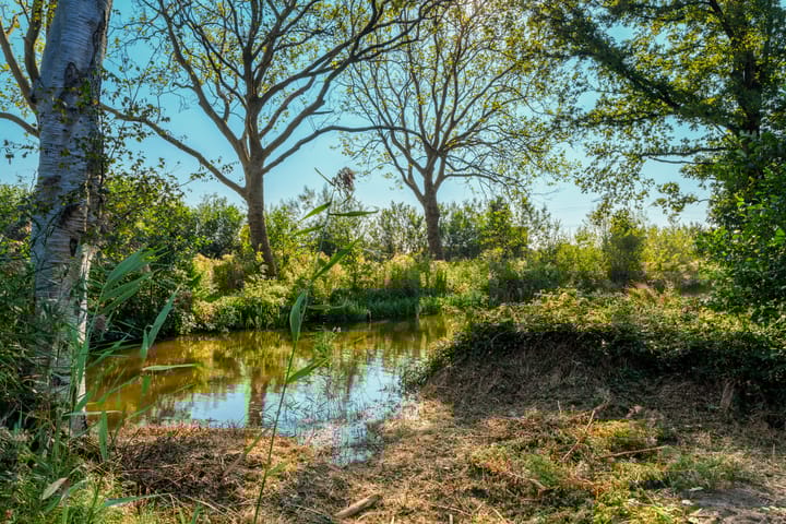 Photo 20 of Heksenkruid 11