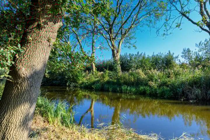 Photo 21 of Heksenkruid 11