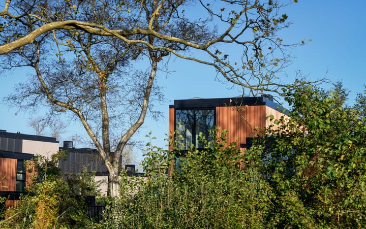 Photo 16 of Heksenkruid 11