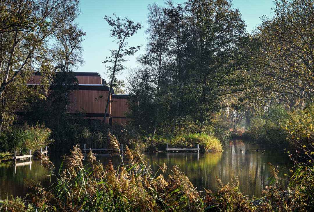 Foto 17 van Heksenkruid 11