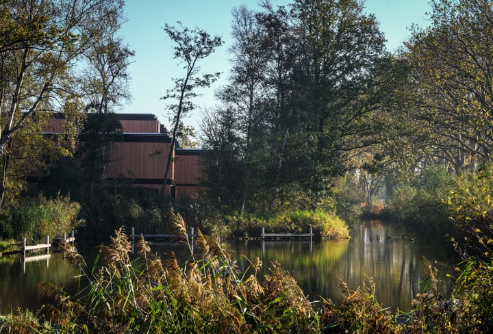 Photo 17 of Heksenkruid 11