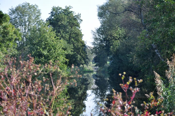 Photo 18 of Heksenkruid 11