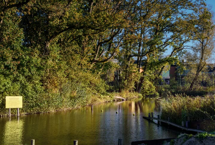 Photo 19 of Heksenkruid 11