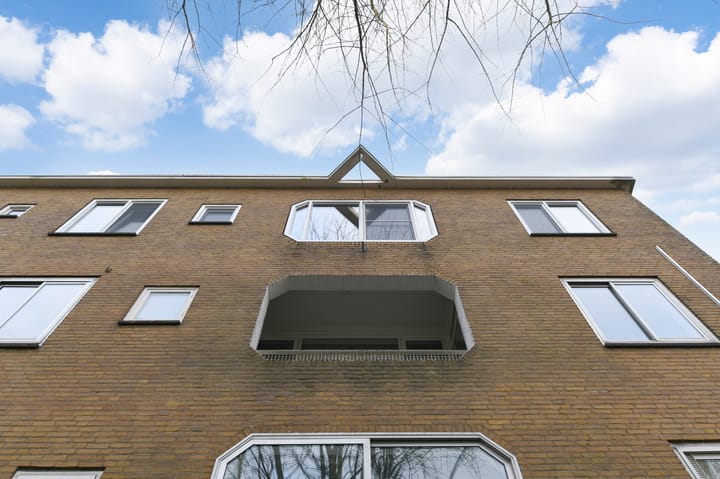 Foto 24 van Meander 217