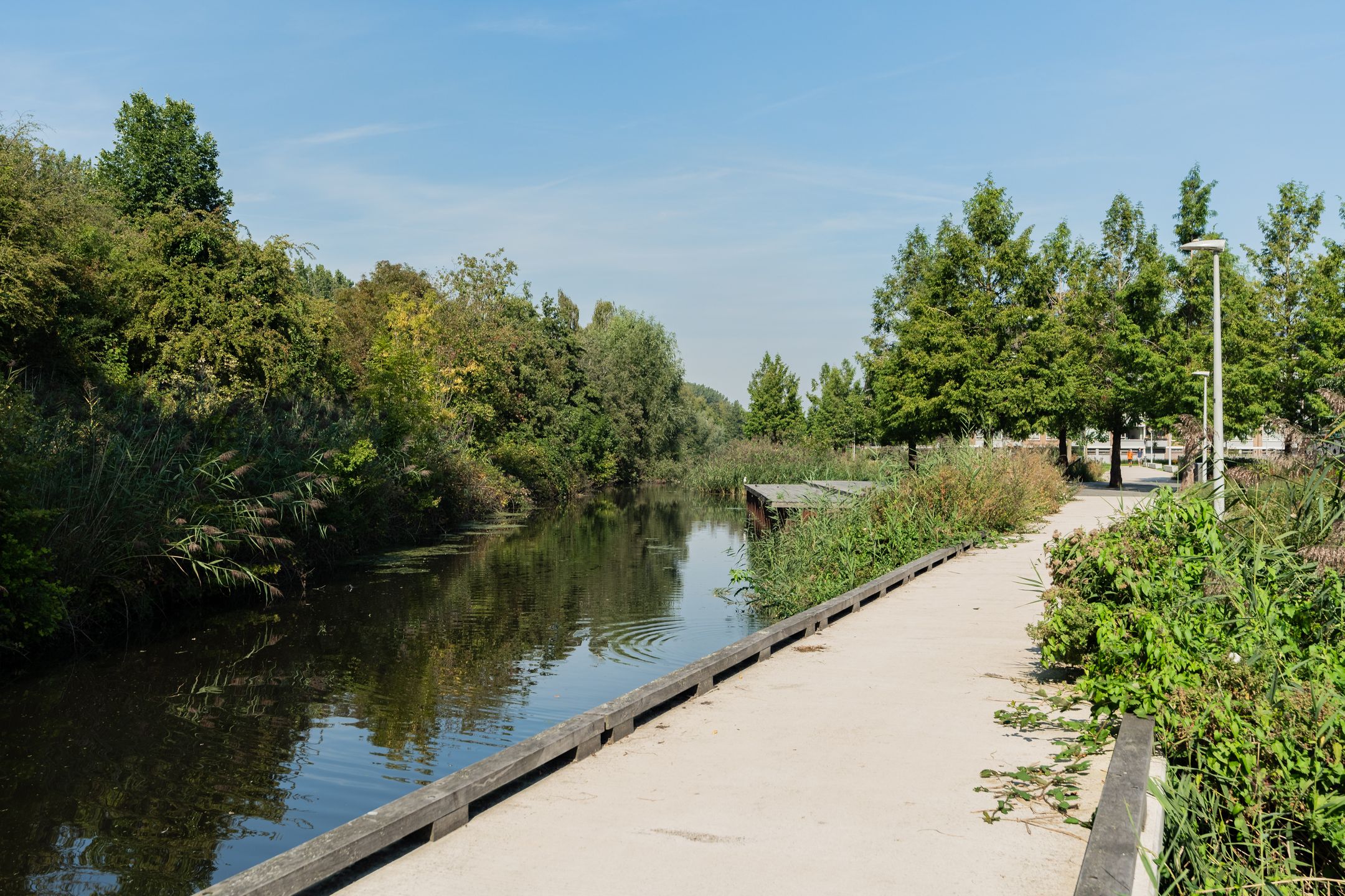 Foto 30 van Andries Copierstraat 60