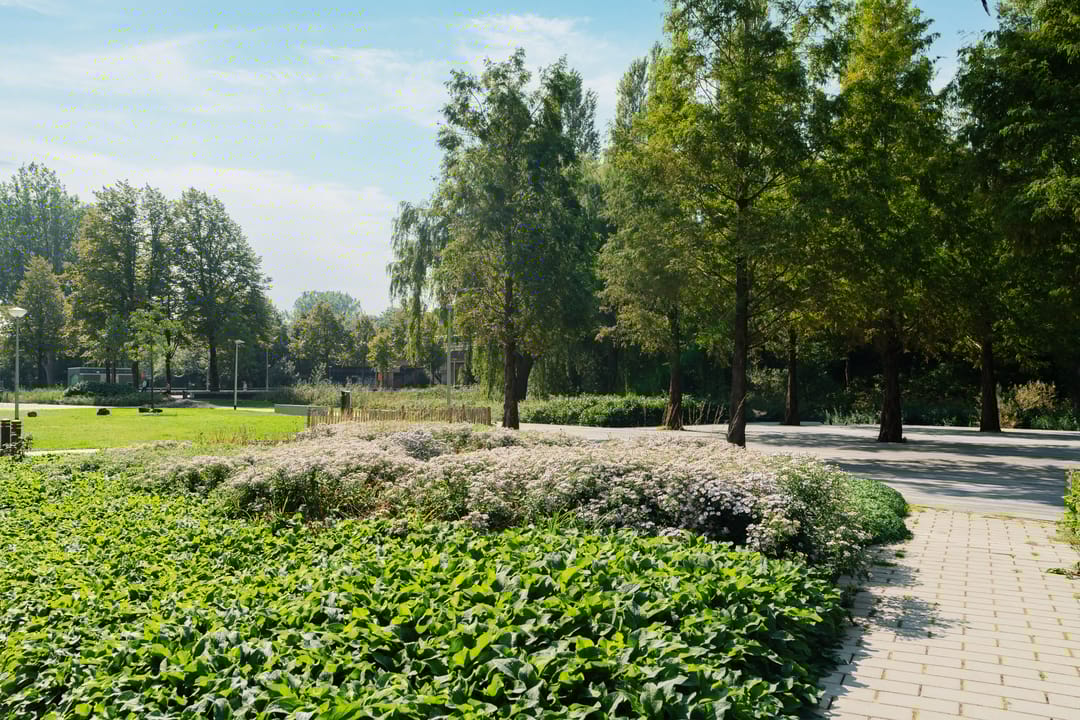 Foto 31 van Andries Copierstraat 60