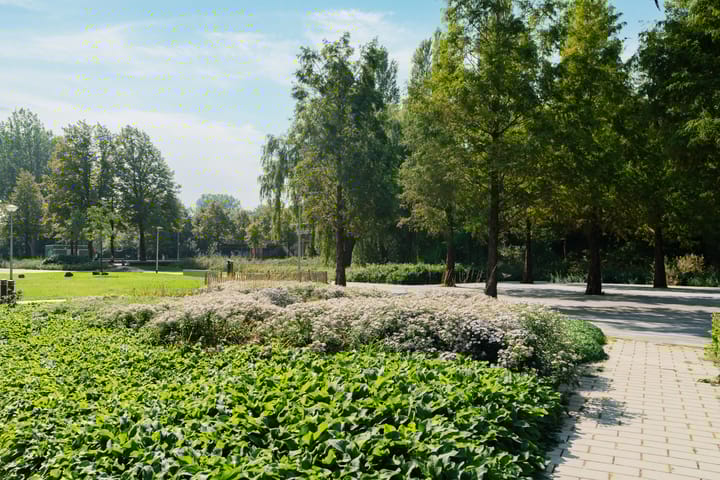 Foto 31 van Andries Copierstraat 60