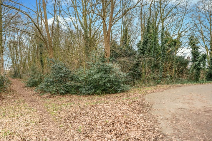 Foto 55 van Marnelaan 46