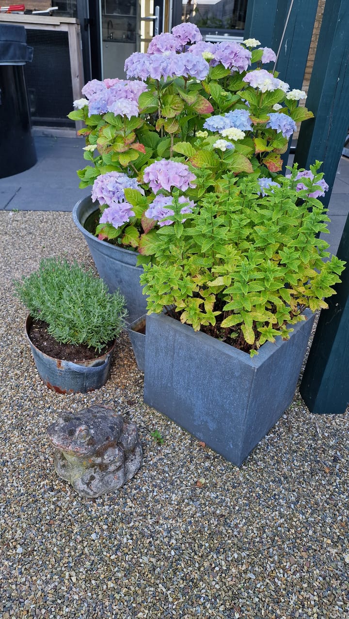 Foto 36 van Vermeerstraat 22