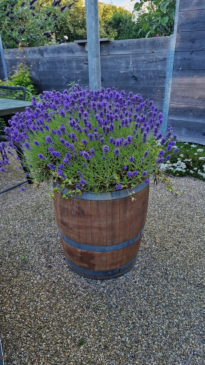 Foto 40 van Vermeerstraat 22