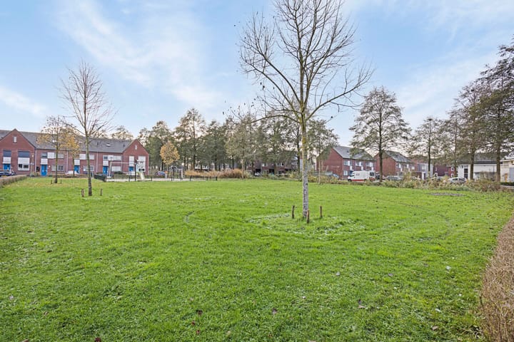 Foto 2 van Valeriaan 17