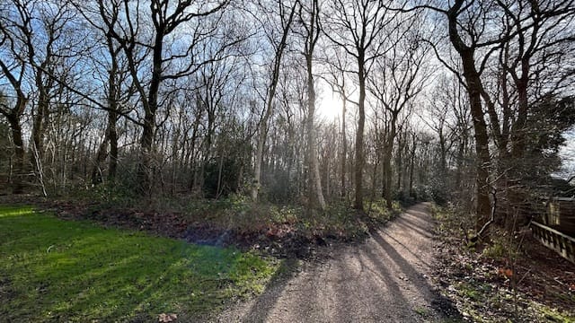 Foto 30 van Grasland 40