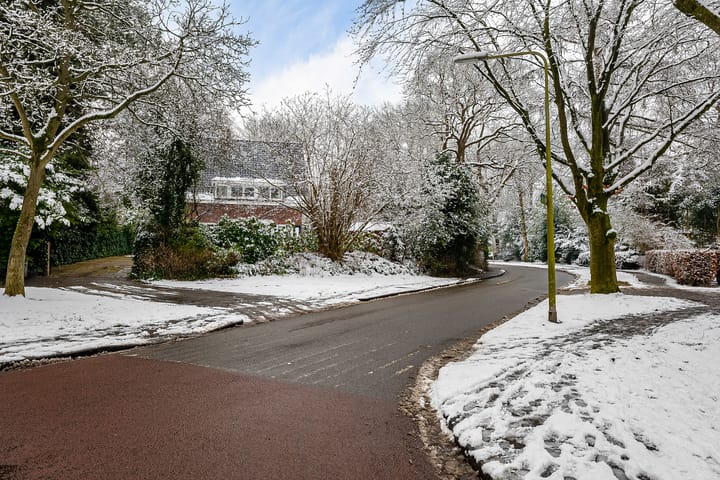 Foto 59 van Lutsborgsweg 2