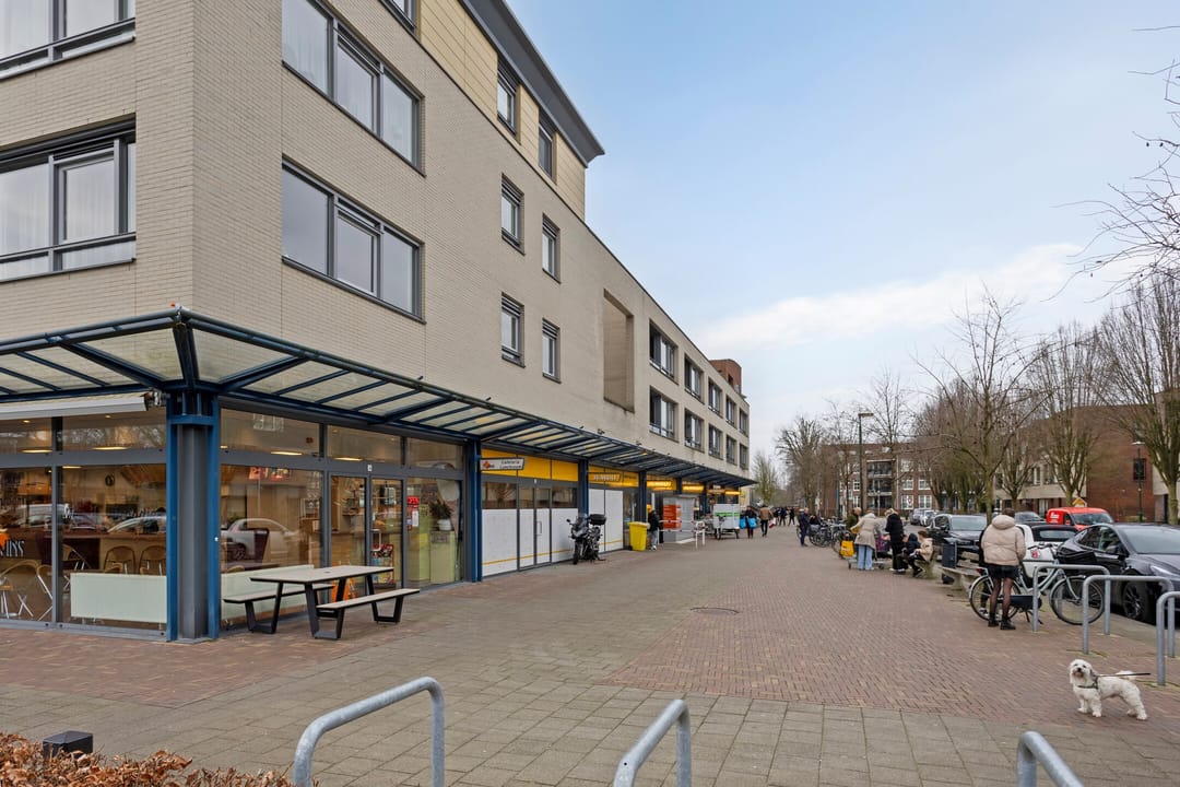 Photo 46 of Franjezwam 17