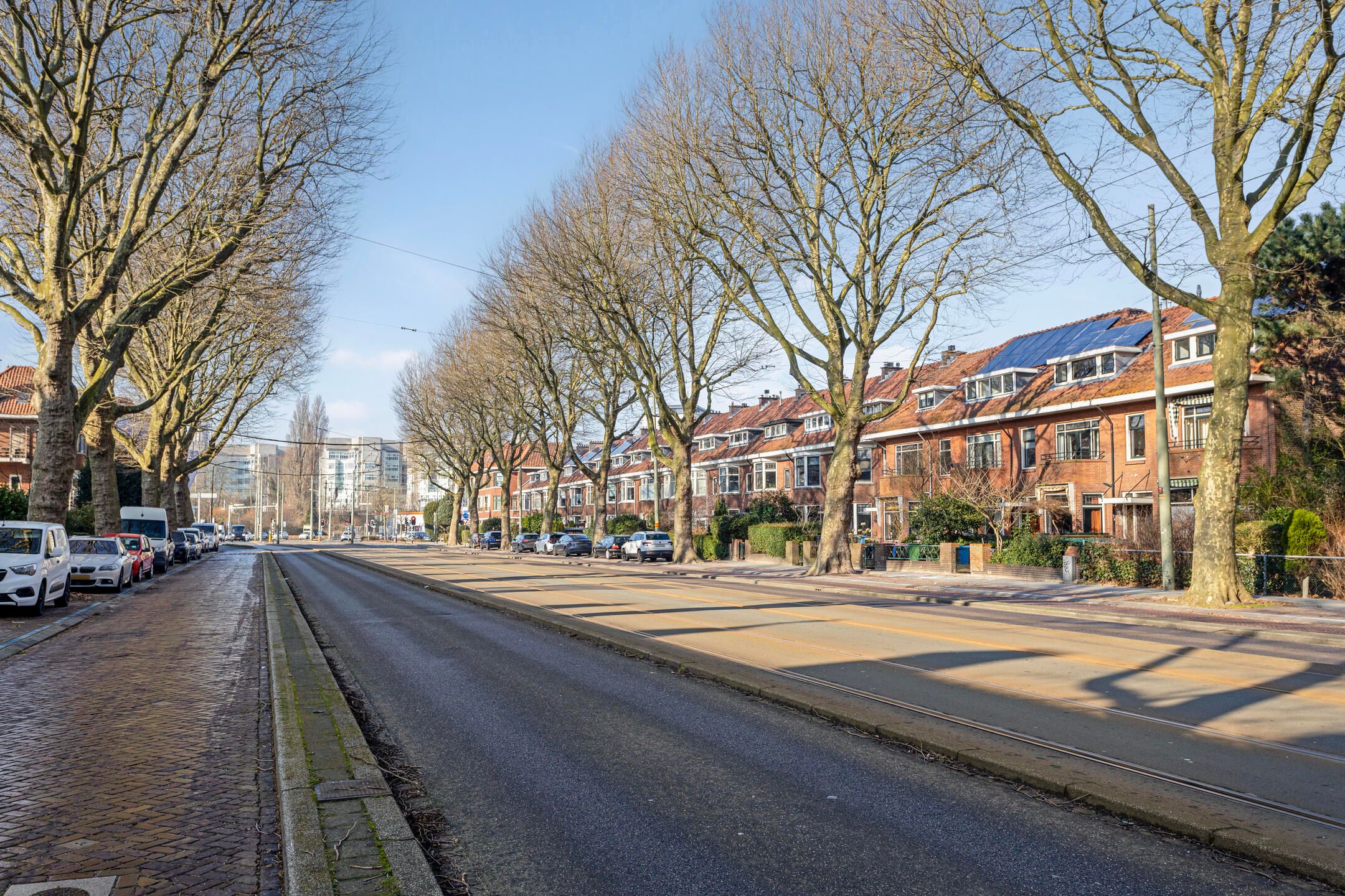 Foto 42 van Koningin Julianalaan 53