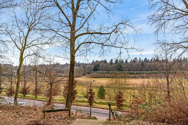 Photo 37 of Willem Sandershof 19