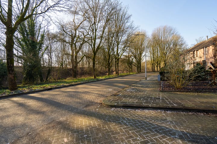 Foto 6 van Alpenlaan 265