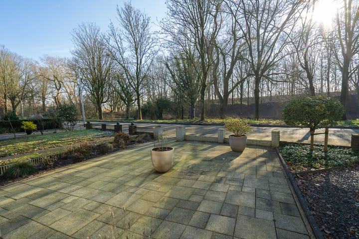 Foto 12 van Alpenlaan 265