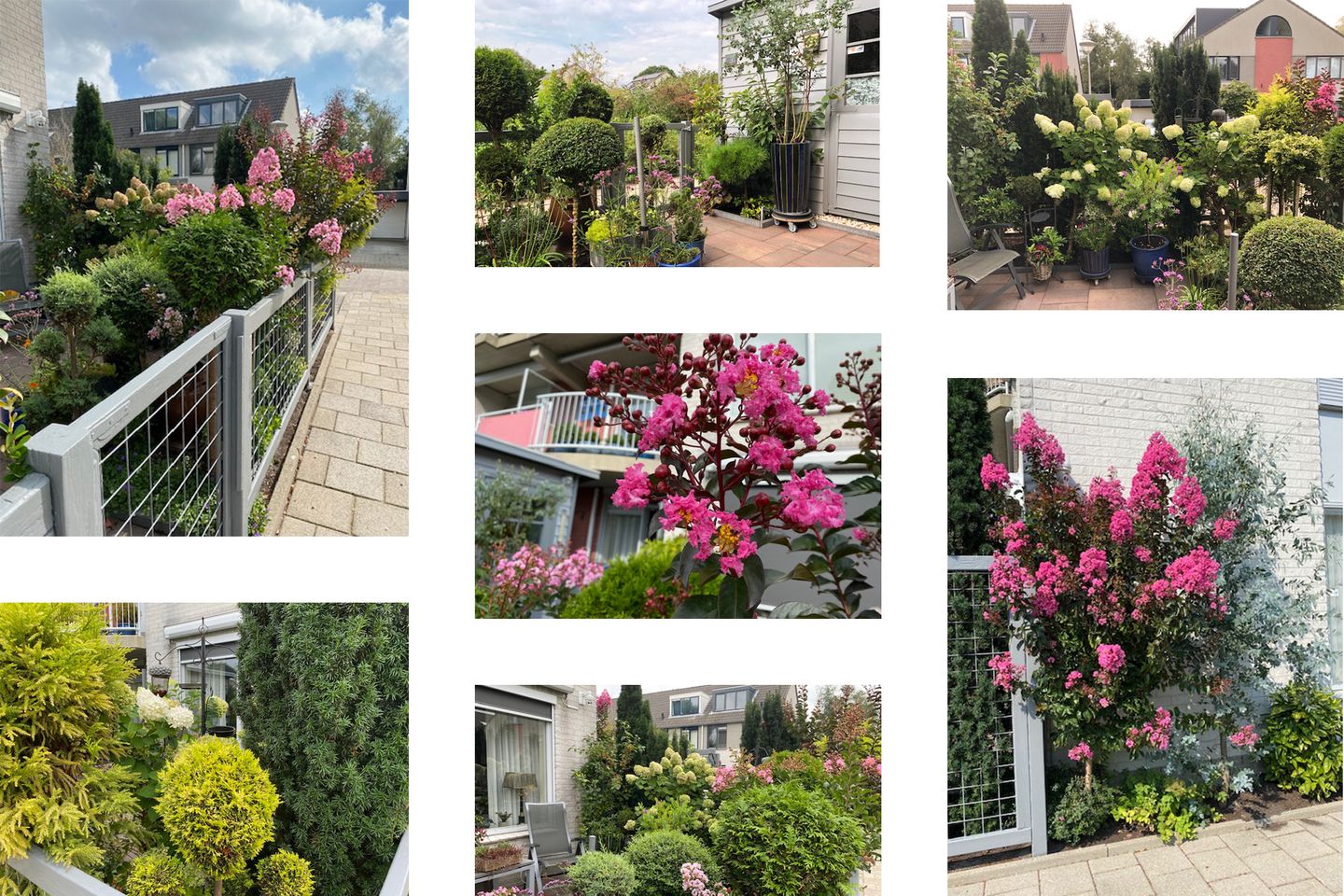 Foto 29 van Burgemeester Geertsemalaan 42